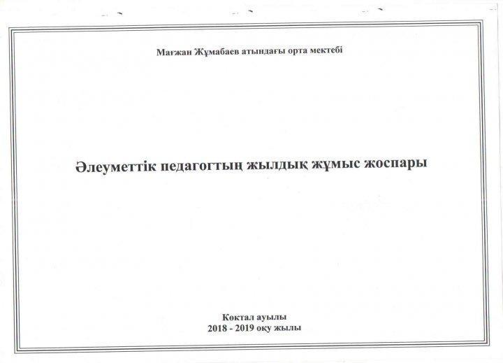 Әлеуметтік педагогтың жұмыс жоспары